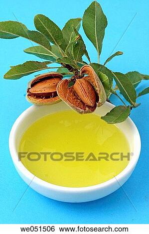 Almond oil View Large Photo Image Stock Photograph - Almond oil. Fotosearch