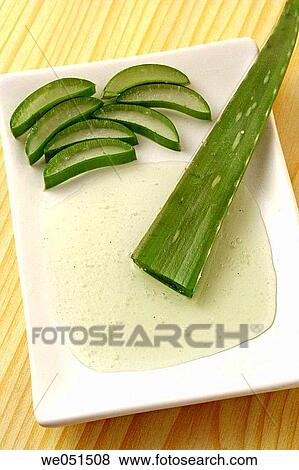 Aloe vera. View Large Photo Image Stock Photo - Aloe vera.. Fotosearch