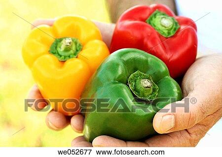 antioxidant, beneficial, basic, appetizing, agriculture View Large Photo Image Stock Photo - antioxidant, beneficial, basic, appetizing, agriculture. Fotosearch