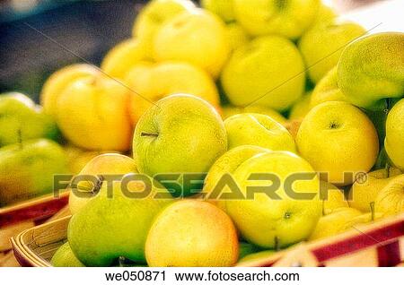 Apples on Farmer's Market Stand. Malus domestica, August 2006. Maryland, USA View Large Photo Image Stock Image - Apples on Farmer's Market Stand. Malus domestica, August 2006. Maryland, USA. Fotosearch