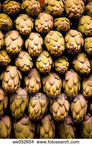 Artichokes in La Boqueria market, Barcelona. Catalonia, Spain View Large Photo Image Picture - Artichokes in La Boqueria market, Barcelona. Catalonia, Spain. Fotosearch