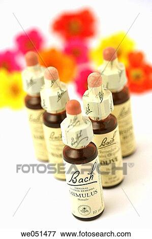 Bach Flower remedies View Large Photo Image Stock Photo - Bach Flower remedies. Fotosearch