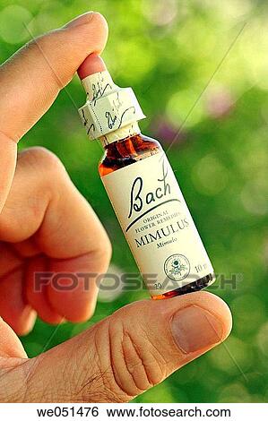 Bach Flower remedies View Large Photo Image Stock Photograph - Bach Flower remedies. Fotosearch