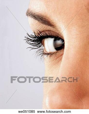 beauty, Beauty Care, Brown eye, brunette, Close-up View Large Photo Image Stock Photography - beauty, Beauty Care, Brown eye, brunette, Close-up. Fotosearch