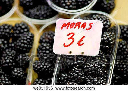 Blackberries. La Boquer? a market. Barcelona. Catalonia. Spain. View Large Photo Image Stock Photograph - Blackberries. La Boquer? a market. Barcelona. Catalonia. Spain.. Fotosearch