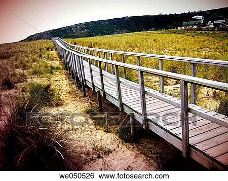 boardwalk, day, deserted, environment, horizon View Large Photo Image Stock Photograph - boardwalk, day, deserted, environment, horizon. Fotosearch