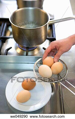 Boiling eggs. Luis Irizar cooking school. Donostia, Gipuzkoa, Basque Country, Spain View Large Photo Image Stock Image - Boiling eggs. Luis Irizar cooking school. Donostia, Gipuzkoa, Basque Country, Spain. Fotosearch