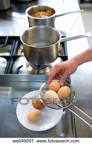 Boiling eggs. Luis Irizar cooking school. Donostia, Gipuzkoa, Basque Country, Spain View Large Photo Image Stock Image - Boiling eggs. Luis Irizar cooking school. Donostia, Gipuzkoa, Basque Country, Spain. Fotosearch