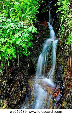 brook, creek, day, falling, flow View Large Photo Image Stock Photo - brook, creek, day, falling, flow. Fotosearch