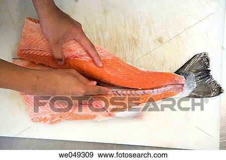 Chefs cutting salmon. Luis Irizar cooking school. Donostia, Gipuzkoa, Basque Country, Spain View Large Photo Image Stock Photo - Chefs cutting salmon. Luis Irizar cooking school. Donostia, Gipuzkoa, Basque Country, Spain. Fotosearch