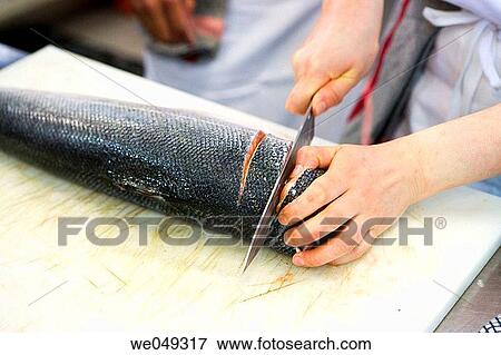 Stock Photo - Chefs cutting salmon. Luis Irizar cooking school. Donostia, Gipuzkoa, Basque Country, Spain. Fotosearch