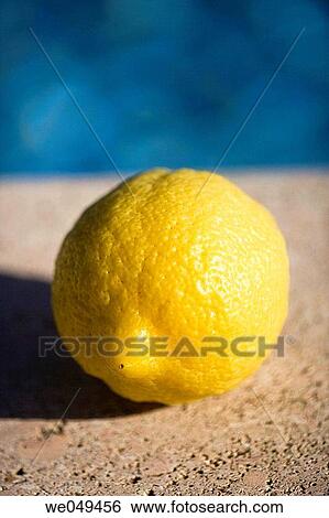Citrus fruit, Close-up, day, food, fruit View Large Photo Image Stock Photograph - Citrus fruit, Close-up, day, food, fruit. Fotosearch