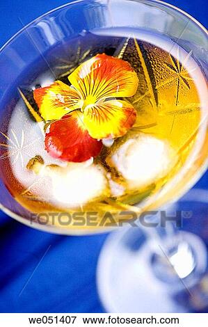 Close-up, delicate, ephemeral, flower, fragile View Large Photo Image Stock Photo - Close-up, delicate, ephemeral, flower, fragile. Fotosearch