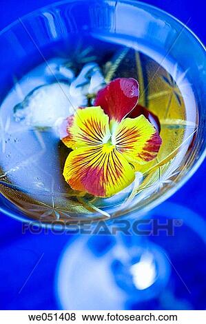 Close-up, delicate, ephemeral, flower, glass View Large Photo Image Stock Photo - Close-up, delicate, ephemeral, flower, glass. Fotosearch