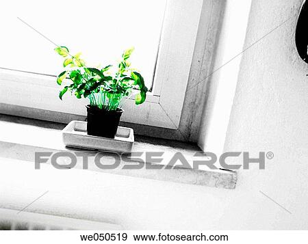 Stock Photo - concept, corner, day, decoration, flower pot. Fotosearch