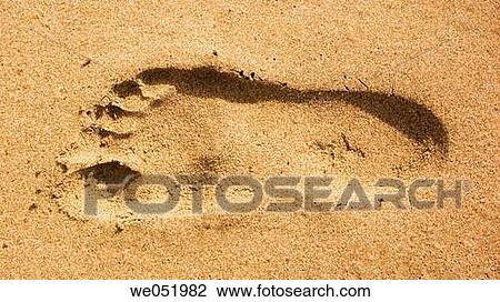 concept, day, ephemeral, footprint, one View Large Photo Image Stock Image - concept, day, ephemeral, footprint, one. Fotosearch