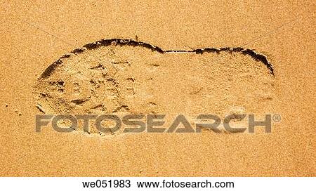 concept, day, ephemeral, footprint, one View Large Photo Image Stock Image - concept, day, ephemeral, footprint, one. Fotosearch