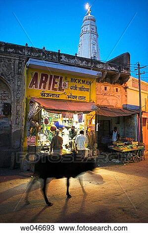Cow passing in front of shop at night. Mandawa village. Rajasthan. India. View Large Photo Image Stock Image - Cow passing in front of shop at night. Mandawa village. Rajasthan. India.. Fotosearch