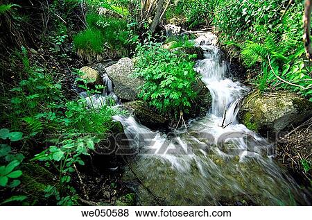Creek near Meranges. Girona province, Catalonia, Spain View Large Photo Image Stock Photo - Creek near Meranges. Girona province, Catalonia, Spain. Fotosearch