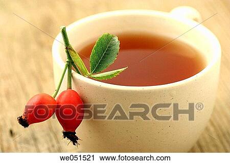 Dog rose tea (Rosa canina) View Large Photo Image Stock Image - Dog rose tea (Rosa canina). Fotosearch