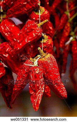 Dried peppers at La Boqueria market, Barcelona. Catalonia, Spain View Large Photo Image Stock Image - Dried peppers at La Boqueria market, Barcelona. Catalonia, Spain. Fotosearch