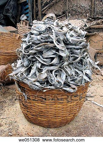 Dry fishes kept in a basket after drying for sell. Vizhingam, Kovalam Beach, Kerala India. View Large Photo Image Stock Photo - Dry fishes kept in a basket after drying for sell. Vizhingam, Kovalam Beach, Kerala India.. Fotosearch
