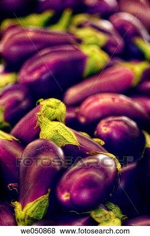 Eggplants on Farmer's Market Stand. Solanum melongena, August 2006. Maryland, USA View Large Photo Image Stock Photo - Eggplants on Farmer's Market Stand. Solanum melongena, August 2006. Maryland, USA. Fotosearch