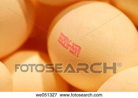 Stock Photo - Eggs at La Boqueria market, Barcelona. Catalonia, Spain. Fotosearch