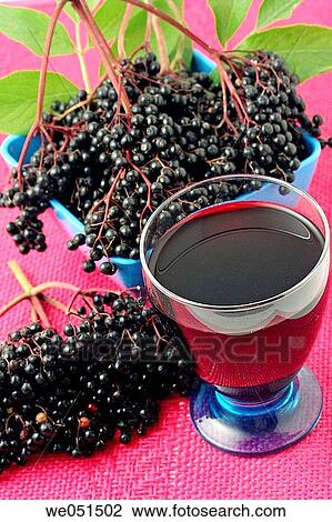 Elder juice (Sambucus nigra) View Large Photo Image Stock Image - Elder juice (Sambucus nigra). Fotosearch