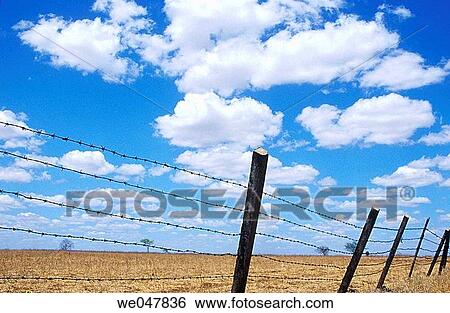 Fence of barbed wire, rural property, Brazil. View Large Photo Image Stock Photograph - Fence of barbed wire, rural property, Brazil.. Fotosearch