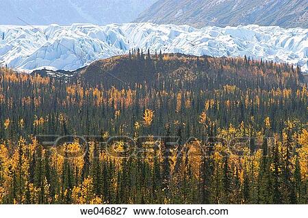 Forest and mountains with autumn colors along the Richardson Highway. Alaska View Large Photo Image Stock Photo - Forest and mountains with autumn colors along the Richardson Highway. Alaska. Fotosearch