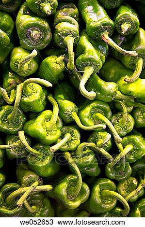 Green peppers in La Boqueria market, Barcelona. Catalonia, Spain View Large Photo Image Stock Image - Green peppers in La Boqueria market, Barcelona. Catalonia, Spain. Fotosearch