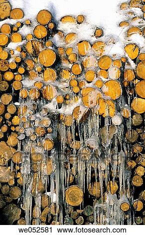 Logs of wood under snow and ice. Province of Quebec. Canada View Large Photo Image Stock Image - Logs of wood under snow and ice. Province of Quebec. Canada. Fotosearch
