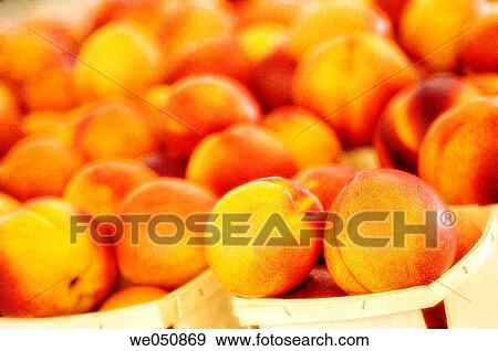 Stock Photo - Nectarines on Farmer's Market Stand. Prunus nectarine, August 2006. Maryland, USA. Fotosearch