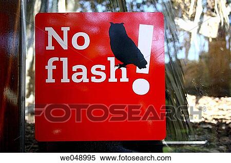 No flash sign View Large Photo Image Stock Photography - No flash sign. Fotosearch