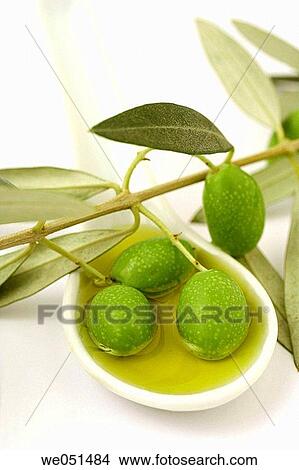 Olive oil (Olea europaea) View Large Photo Image Picture - Olive oil (Olea europaea). Fotosearch