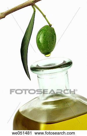 Olive oil (Olea europaea) View Large Photo Image Stock Image - Olive oil (Olea europaea). Fotosearch
