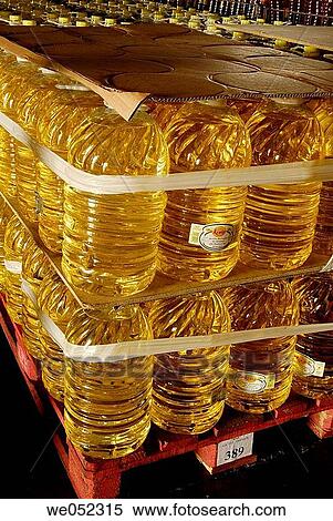 Olive oil. Spain View Large Photo Image Stock Photography - Olive oil. Spain. Fotosearch