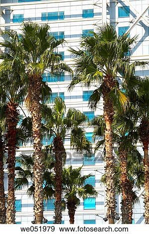 Palm trees and fa? ade of Hotel Arts, Barcelona. Catalonia, Spain View Large Photo Image Stock Photo - Palm trees and fa? ade of Hotel Arts, Barcelona. Catalonia, Spain. Fotosearch