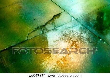 Partially broken sidewalk after a rain storm. View Large Photo Image Picture - Partially broken sidewalk after a rain storm.. Fotosearch