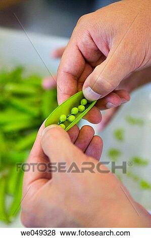 Stock Photo - Peas. Luis Irizar cooking school. Donostia, Gipuzkoa, Basque Country, Spain. Fotosearch
