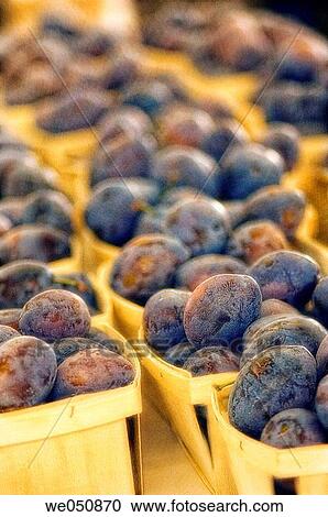 Stock Image - Plums on Farmer's Market Stand. Prunus nectarine, August 2006. Maryland, USA. Fotosearch