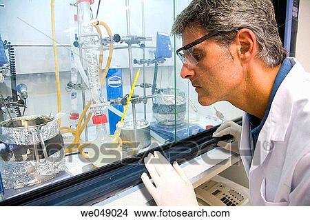 Polytechnic School, University of the Basque Country, Donostia, Gipuzkoa, Basque Country. Polymerization. Lab of Chemical Industry and Electrochemical Engineering, Fundamental Chemistry, Department of Chemical Engineering and Environment View Large Photo Image Picture - Polytechnic School, University of the Basque Country, Donostia, Gipuzkoa, Basque Country. Polymerization. Lab of Chemical Industry and Electrochemical Engineering, Fundamental Chemistry, Department of Chemical Engineering and Environment. Fotosearch