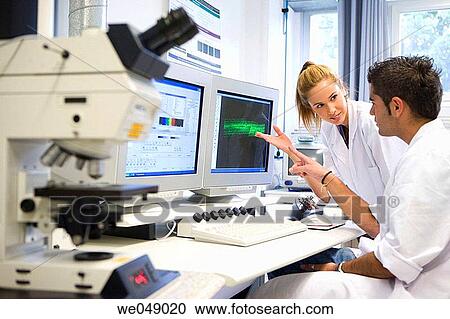 Stock Image - Polytechnic School, University of the Basque Country, Donostia. Confocal Laser Scanning Microscope, Leica DM RXE TCS-SP2. Lab of Chemical Industry and Electrochemical Engineering, Fundamental Chemistry, Dept. of Chemical Engineering and Environment. Fotosearch