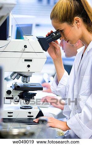 Polytechnic School, University of the Basque Country, Donostia. Confocal Laser Scanning Microscope, Leica DM RXE TCS-SP2. Lab of Chemical Industry and Electrochemical Engineering, Fundamental Chemistry, Dept. of Chemical Engineering and Environment View Large Photo Image Stock Photo - Polytechnic School, University of the Basque Country, Donostia. Confocal Laser Scanning Microscope, Leica DM RXE TCS-SP2. Lab of Chemical Industry and Electrochemical Engineering, Fundamental Chemistry, Dept. of Chemical Engineering and Environment. Fotosearch