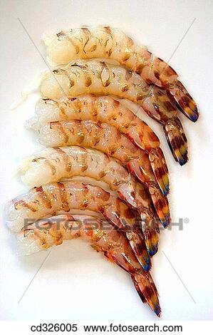 Stock Photography - Prawns. Luis Irizar cooking school. Donostia, Gipuzkoa, Basque Country, Spain. Fotosearch