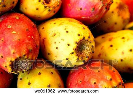 Prickly pears. La Boquer? a market. Barcelona. Catalonia. Spain. View Large Photo Image Stock Image - Prickly pears. La Boquer? a market. Barcelona. Catalonia. Spain.. Fotosearch