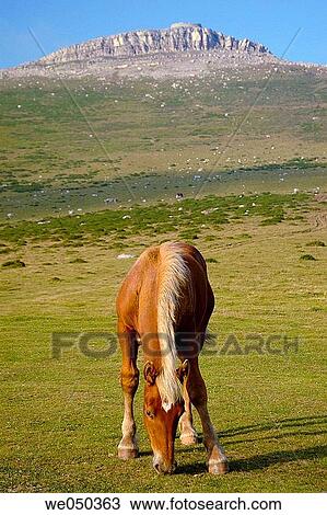 Pyrenees Mountains. Midi Pyr? n? es. France. View Large Photo Image Stock Image - Pyrenees Mountains. Midi Pyr? n? es. France.. Fotosearch