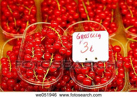 Redcurrants. La Boquer? a market. Barcelona. Catalonia. Spain. View Large Photo Image Stock Photograph - Redcurrants. La Boquer? a market. Barcelona. Catalonia. Spain.. Fotosearch