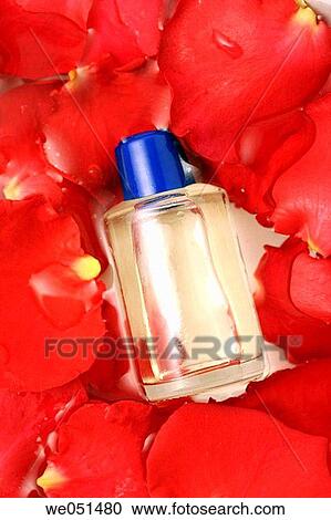 Stock Image - Rose essential oil (Rosa sp. ). Fotosearch